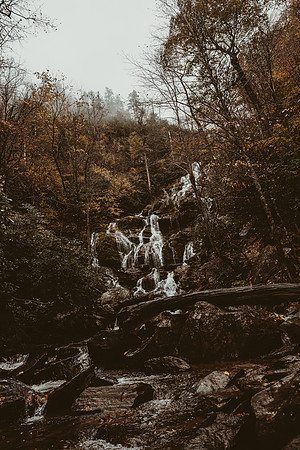 LNO_5912