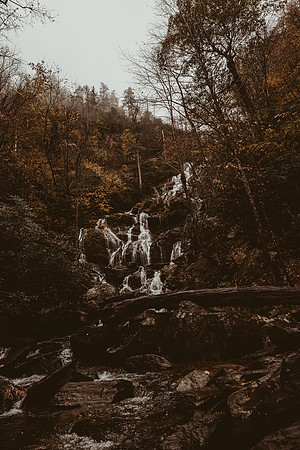LNO_5919