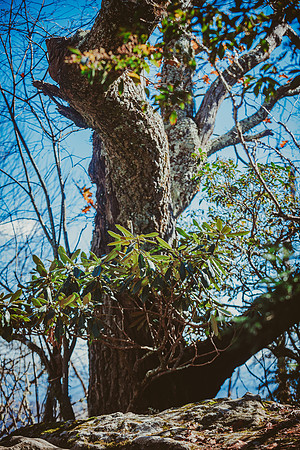 LNO_5998