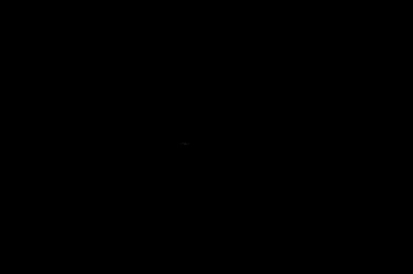 LNO_3923
