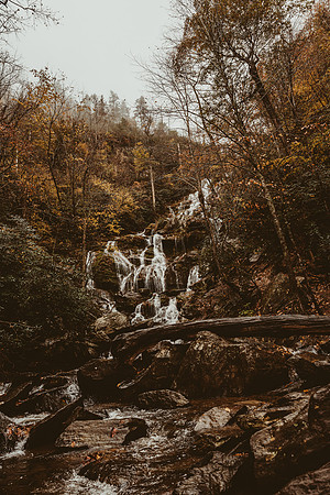 LNO_5918