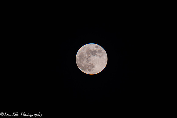 LNO_5027