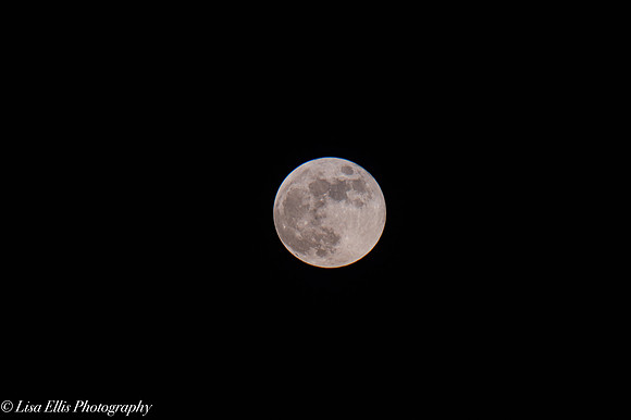 LNO_5028