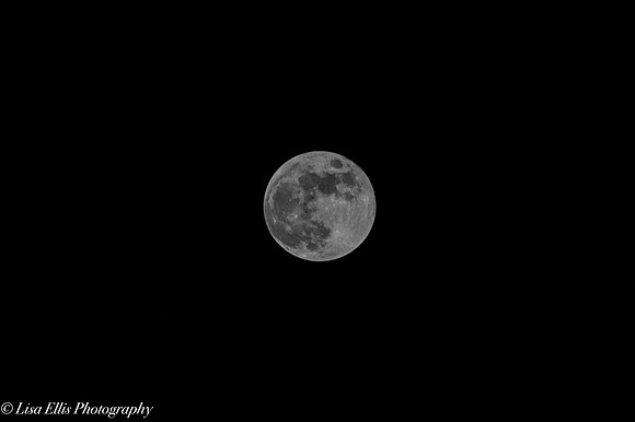 LNO_5044