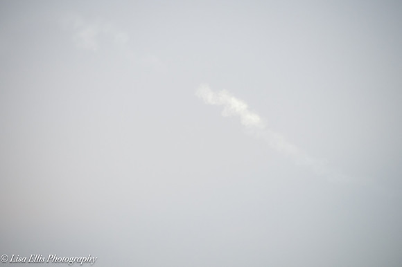 LNO_3979