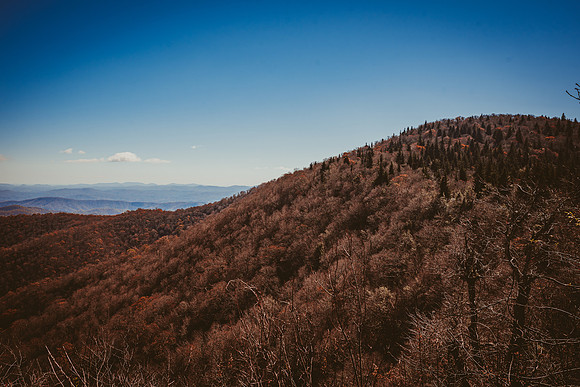 LNO_5992