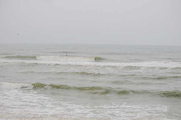 LNO_5822