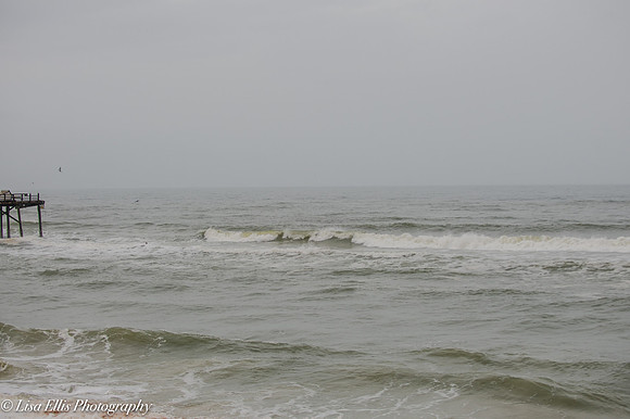 LNO_5839