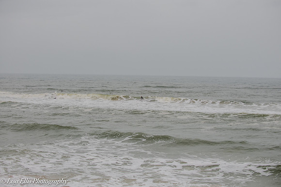 LNO_5841
