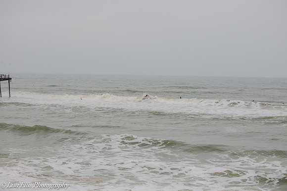 LNO_5843