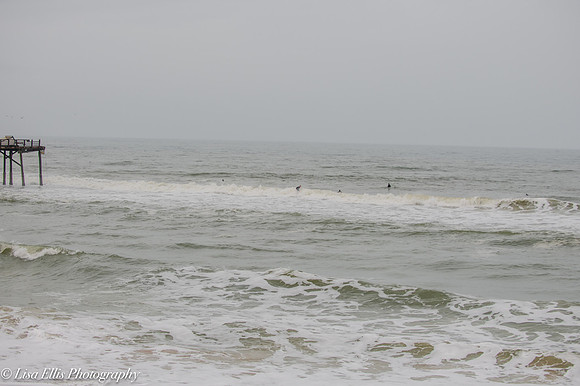 LNO_5846