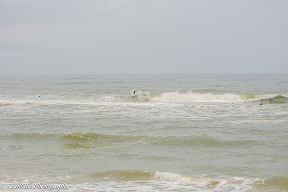 LNO_5849