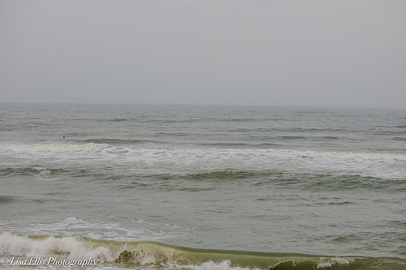 LNO_5847