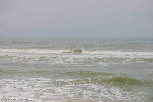 LNO_5860