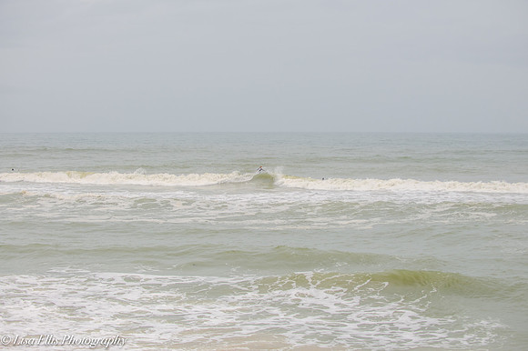 LNO_5861