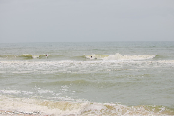 LNO_5858