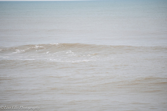 LNO_5331-2