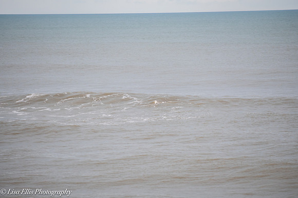 LNO_5332