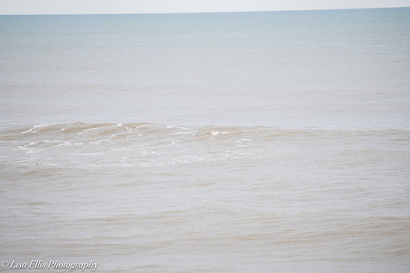 LNO_5333