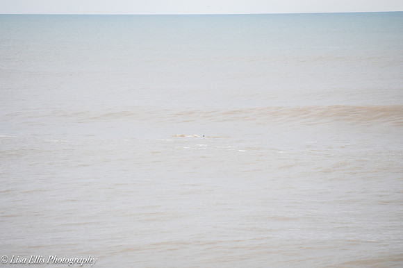 LNO_5336