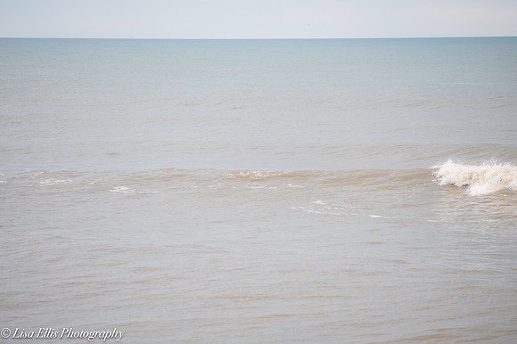 LNO_5337