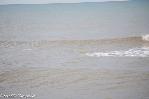 LNO_5338