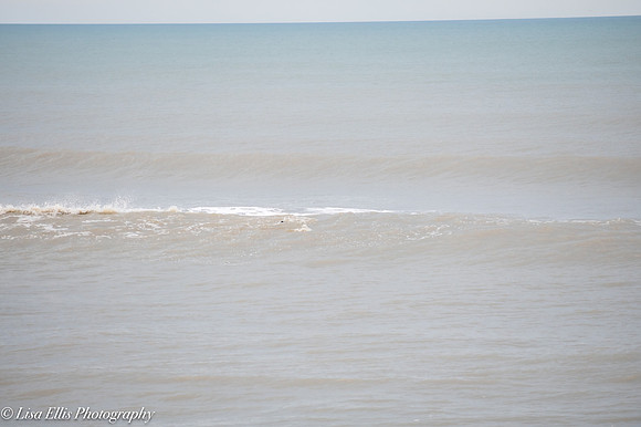 LNO_5340