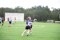 LNO_6475