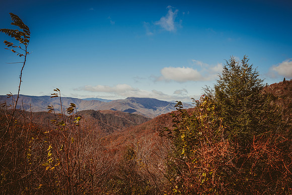 LNO_5971