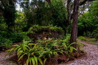 LNO_7182