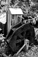 LNO_7183