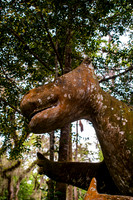 LNO_7185