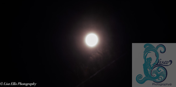 LNO_7370