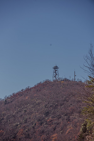 LNO_6035