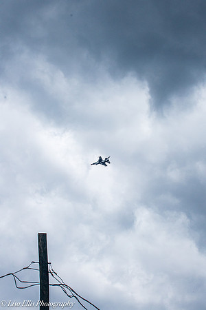 LNO_1308