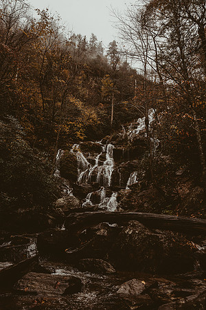 LNO_5917