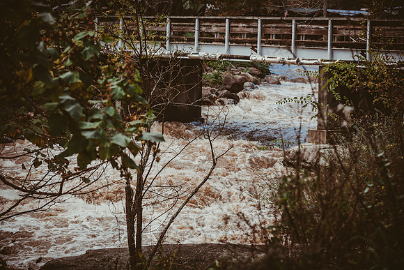 LNO_5944