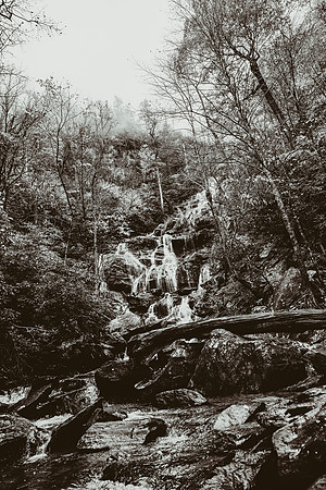 LNO_5911