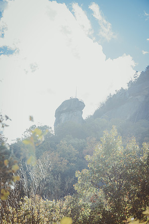 LNO_5962