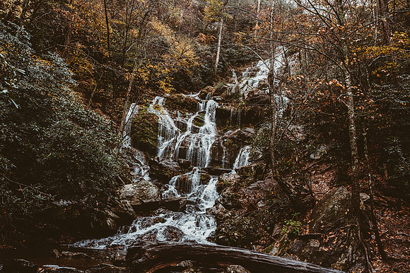 LNO_5921
