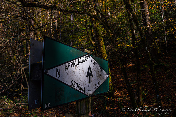 LNO_5451