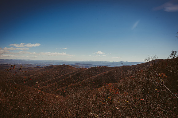LNO_5981