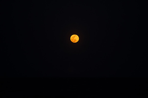 LNO_1117