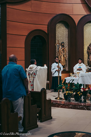 LNO_8739