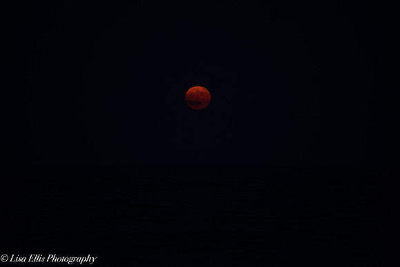 LNO_0119