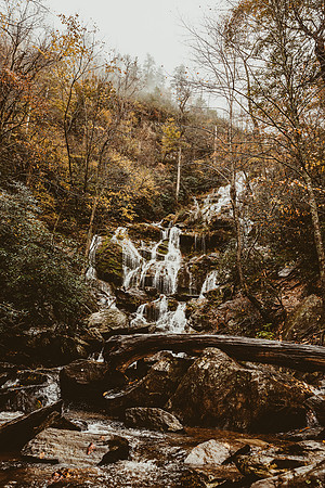 LNO_5916