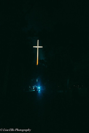 LNO_8894