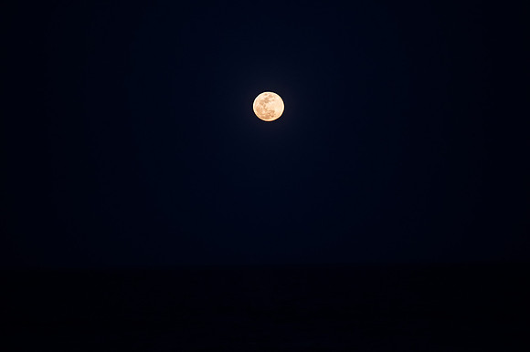 LNO_1120