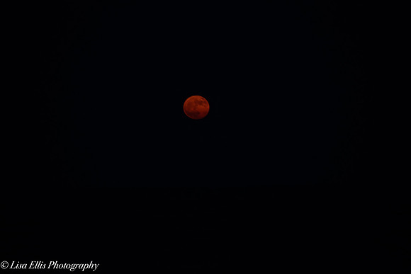 LNO_0121