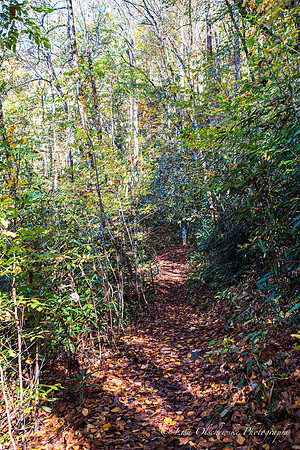 LNO_5449